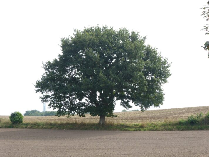 2021-09-06 Brodau-Rettin-Pelzerhaken (36)