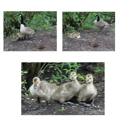 38B75A4F-6245-46A7-9F3C-2927DD2778D3