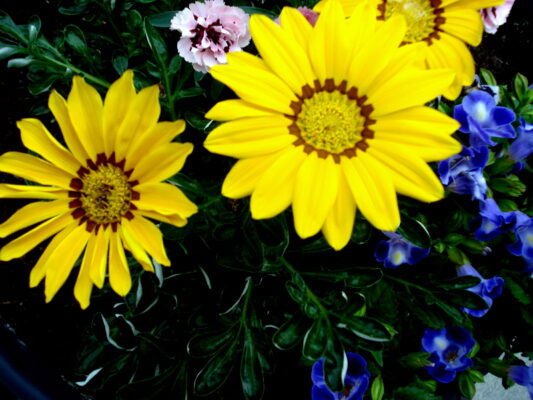 DSC06188