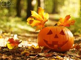 images (14)