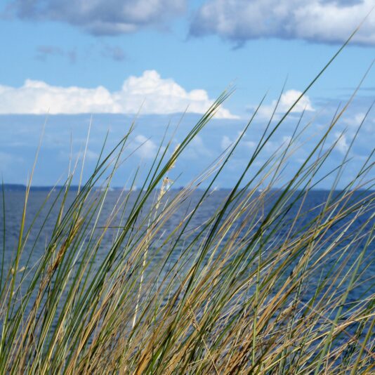 2022-09-20 Niendorf (14)