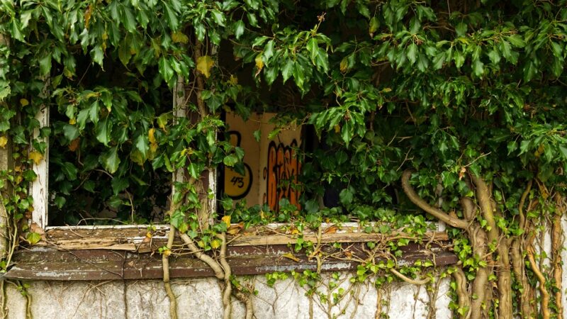 _DSC4265_HDR