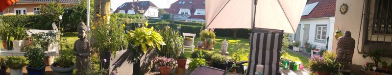 IMG_20230708_191306678