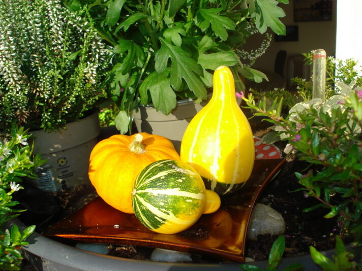 DSC06898