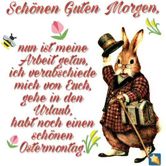 434388420_7448676441891897_3697783133503310846_n