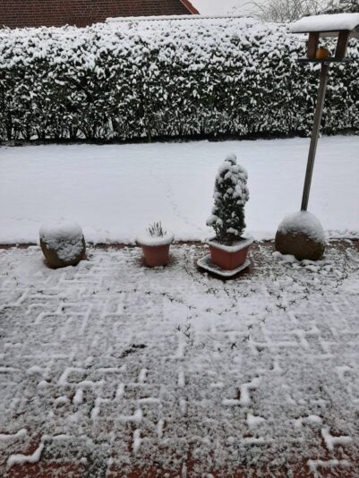 IMG-20210117-WA0002
