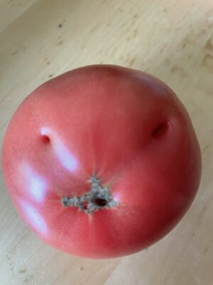 6C43E0C5-E2E9-4757-BAA2-58ABE87039DC