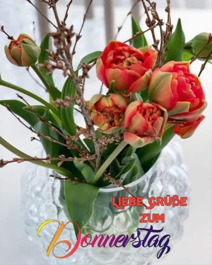 428604346_943049164163633_4489318951293767541_n