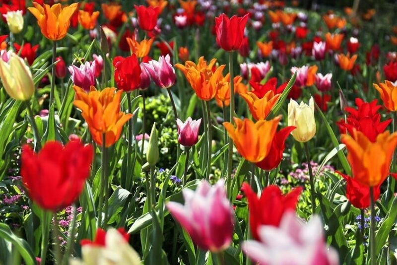 142013282_3320834384695086_4141345310320804192_n