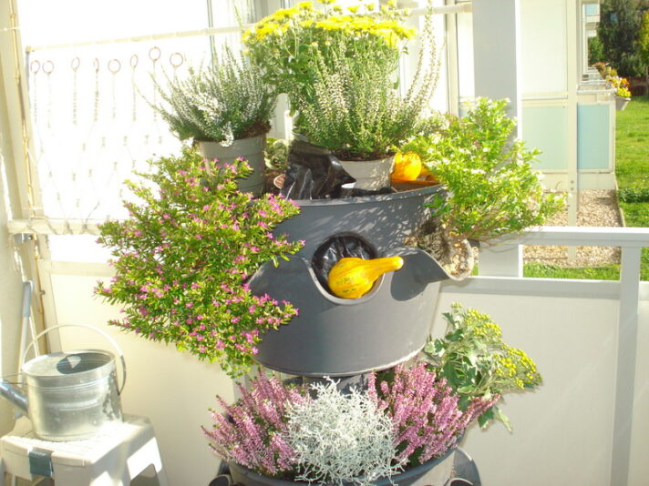 DSC06895