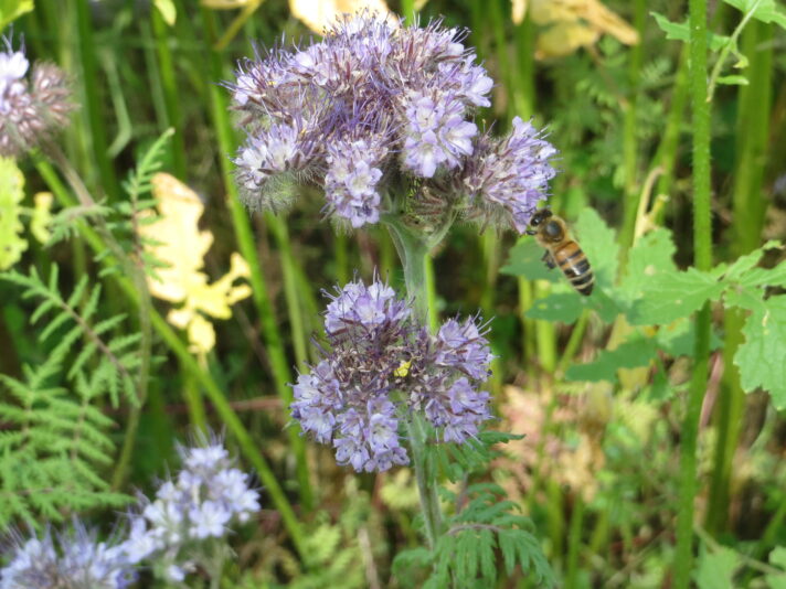 IMG_8151