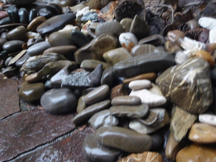 15.8.2022 Montag endlich Regen (12)