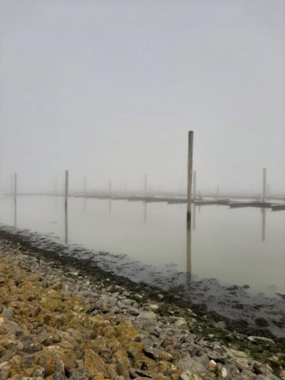 IMG-20210228-WA0003