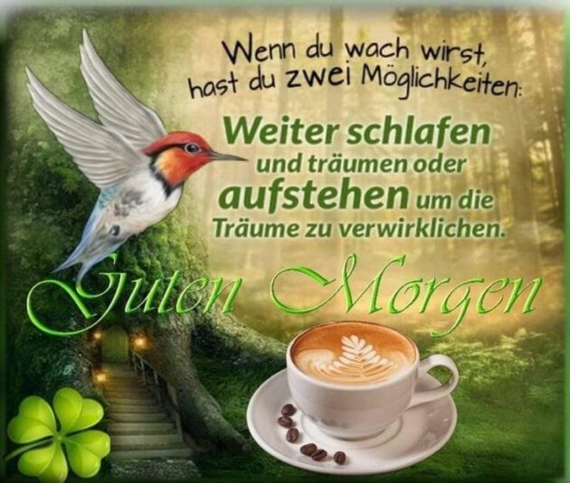 179c0ac0dc5cc47c8ae94f15639c0931