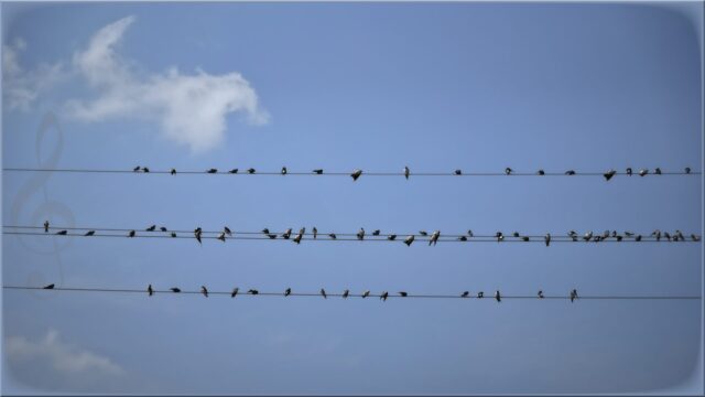 _DSC2829 final