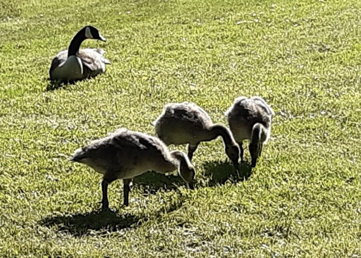 A8984F40-1E09-4478-A278-5AF7D4281E65