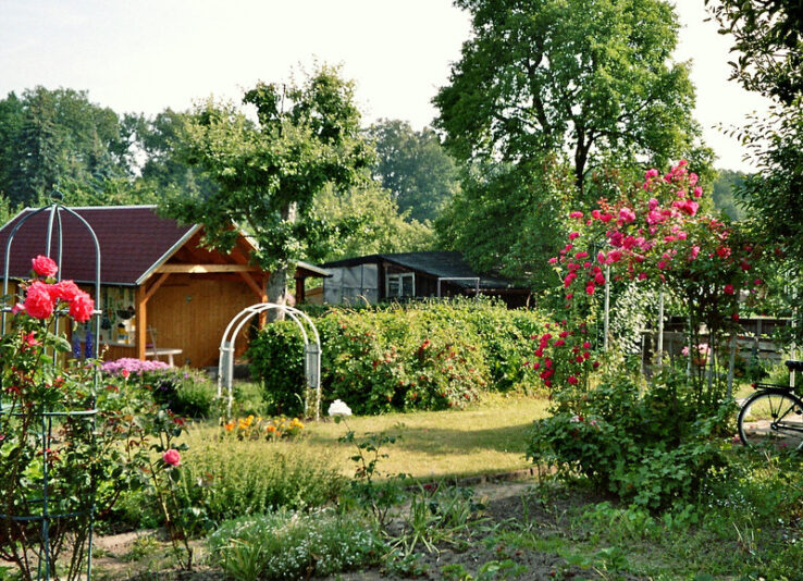 Gartenfreuden.