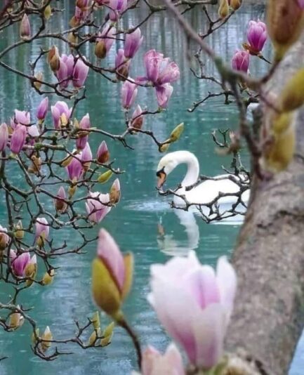 179121475_868283763754289_9171450311602661590_n