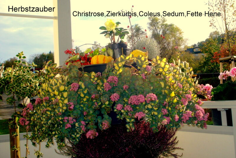 Herbstzauber