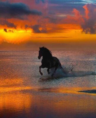 172702309_472642860750586_4001789566438700109_n (1)