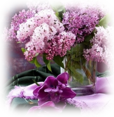 9mzd11amsar
