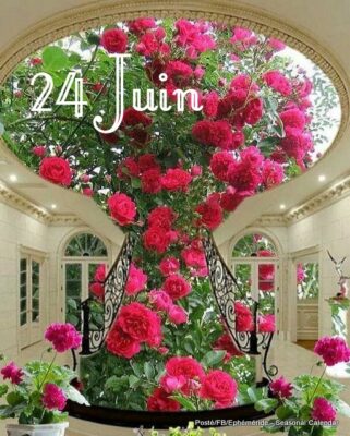 206018946_4349645021752227_7216811352911254594_n