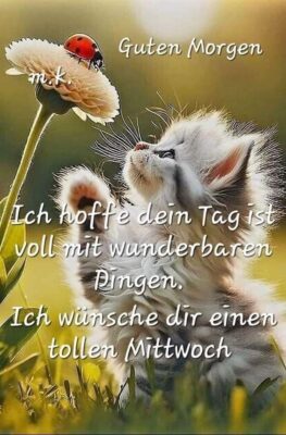 499716415_1016537410625357_4508246861845326620_n