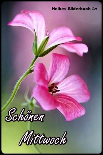 80358eee3790860af211d27c49bb700e