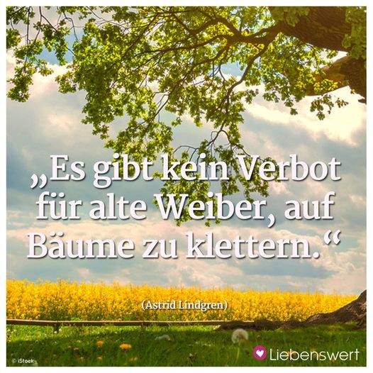 53656001_2827142873966085_2070316623427796992_o