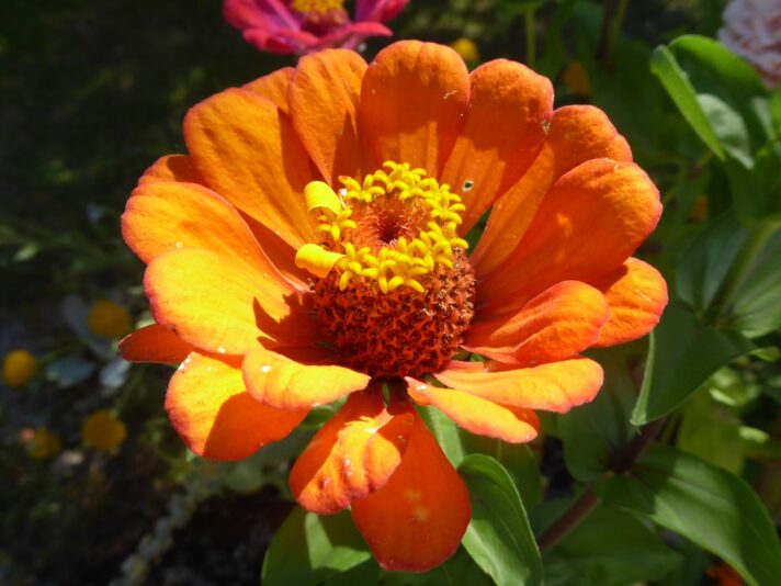 4.8.2022 E. Irina 9Uhr30 Schlossgarten (185)