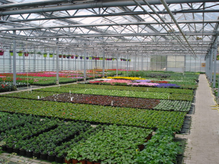 DSC05276