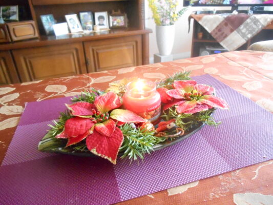 DSCN1094