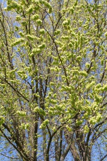 20220424 Neviges (101)