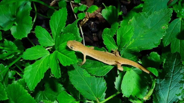 resized_20230815_233451c