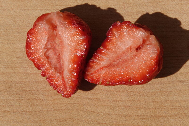 4306F7B5-D2A4-4DEF-834D-DC8559047B1B