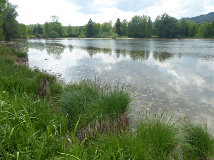4.6.2021mit Bärbel Kempten Stadtweiher (66)
