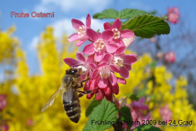 Frühling - Ostern 2009 bei 24 Grad.