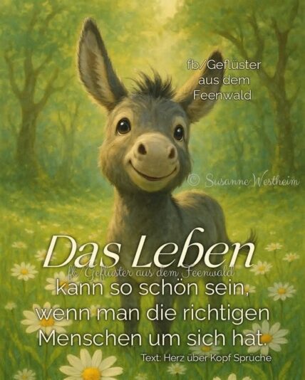 bbe050e9f56e394e55966a1b1a09813a