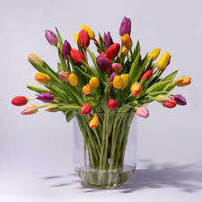 images (4)