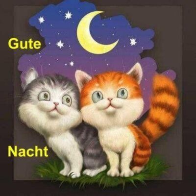 Witzige-Gute-Nacht-Bilder-Fur-Verliebte-9