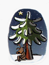 Frierendes Rentierf.