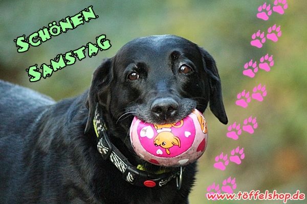 0c7155a02dbad71a0a2c306bce4ef0b4