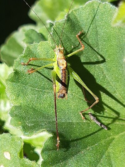 6D431CC9-C8C3-4181-9832-F841E6E53F5D