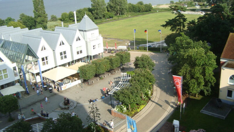 DSC09596