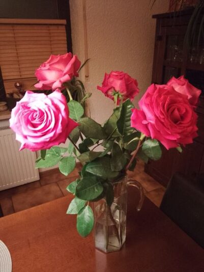 Rote Rosen von Lindas Geb.