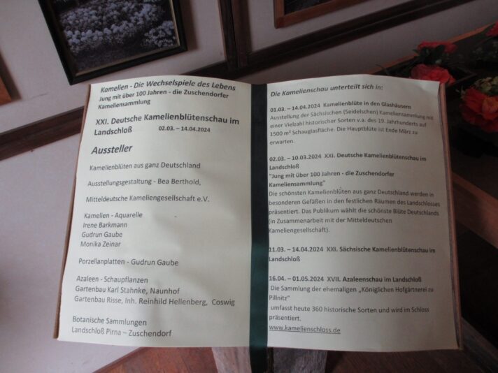 IMG_0014 - Kopie (2)