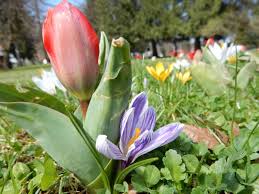 images (29)