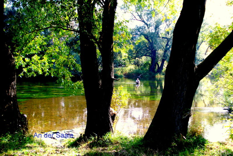 Blick vom Pioniersteg aus.