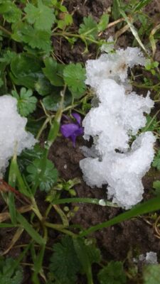 IMG_20210127_153648470