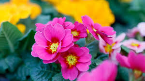 images (15)